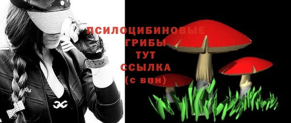 шишки Киреевск