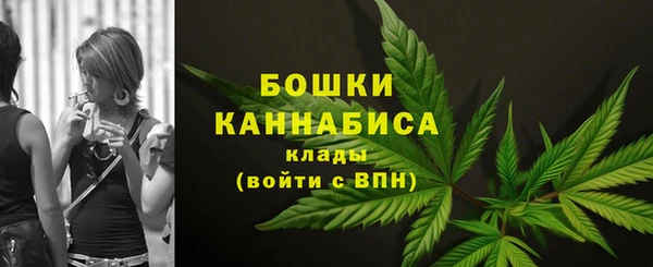 гашик Козельск