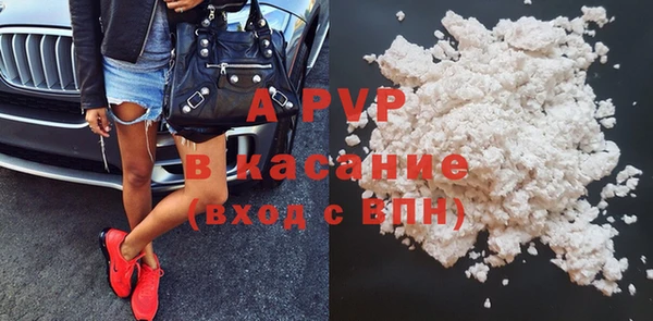 гашик Козельск