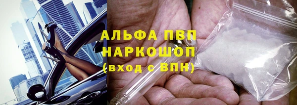 тгк Кинешма