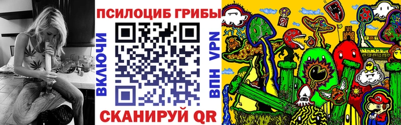 наркота  Йошкар-Ола  Галлюциногенные грибы Cubensis 